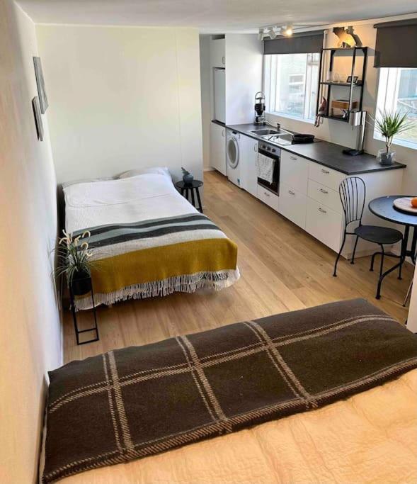 Studio Apartment Reykjavik City Center Exteriér fotografie