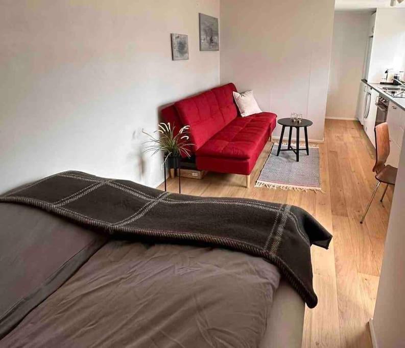 Studio Apartment Reykjavik City Center Exteriér fotografie