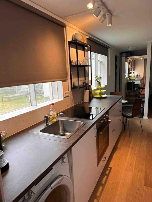 Studio Apartment Reykjavik City Center Exteriér fotografie